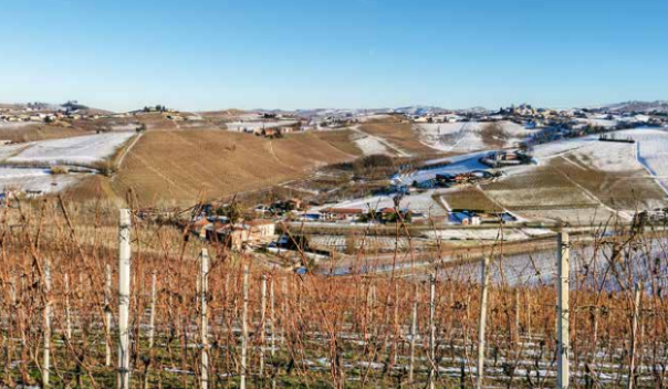 Barbaresco, il trionfo dell’origine