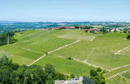 barbaresco
