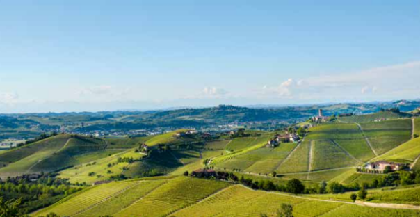 barbaresco