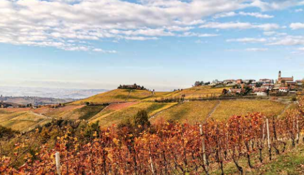 barbaresco