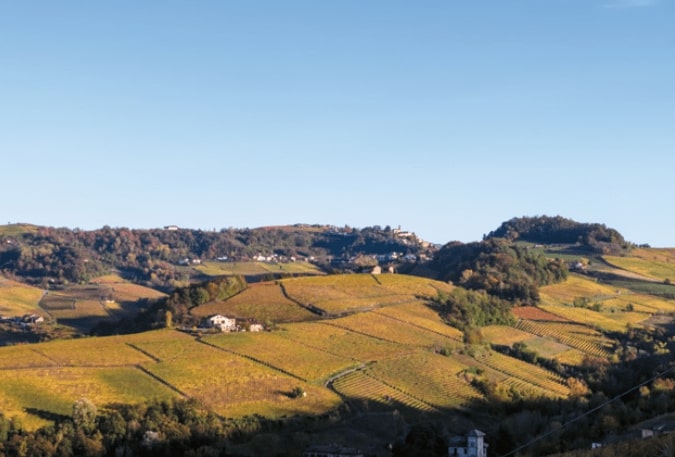 barolo