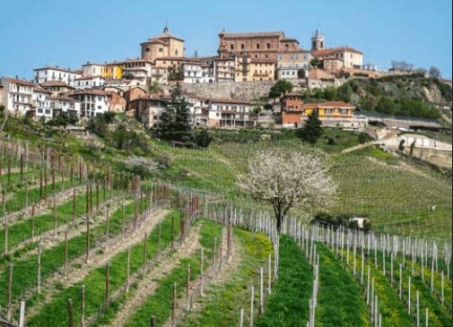 Itinerario Barolo