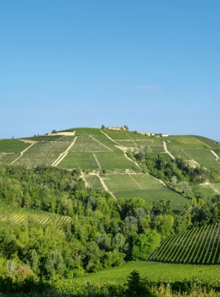 barolo