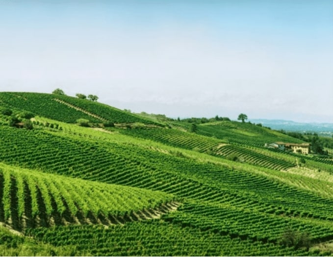 Nizza Docg