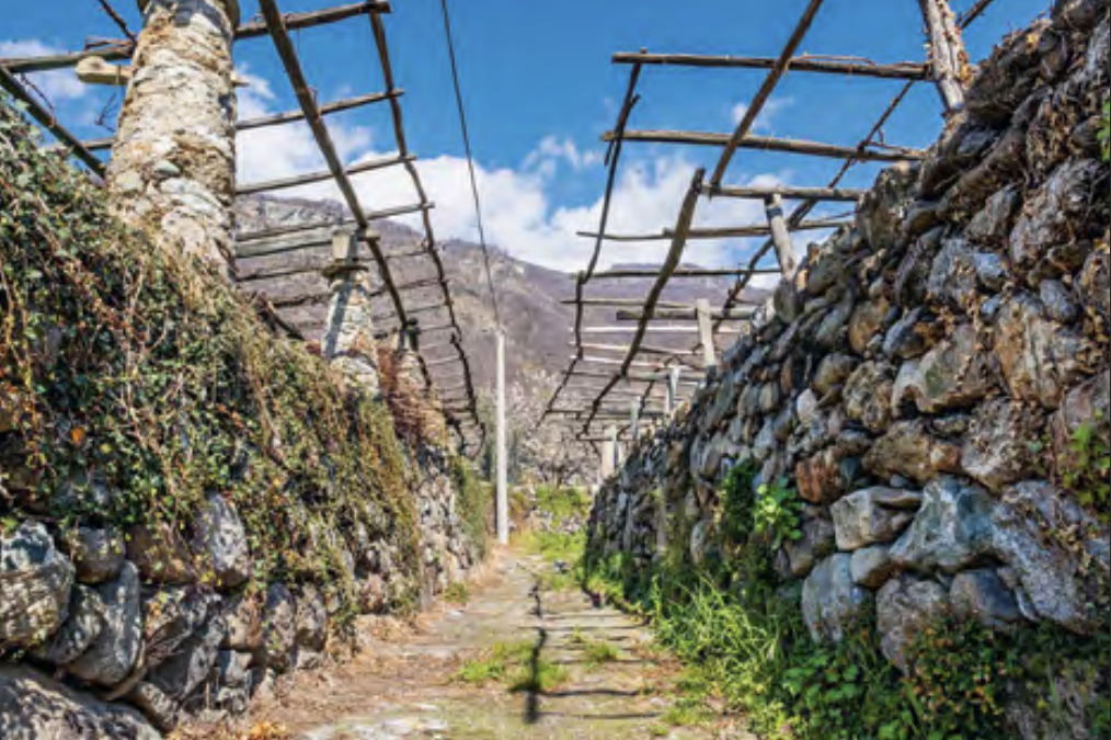 sentieri di Carema