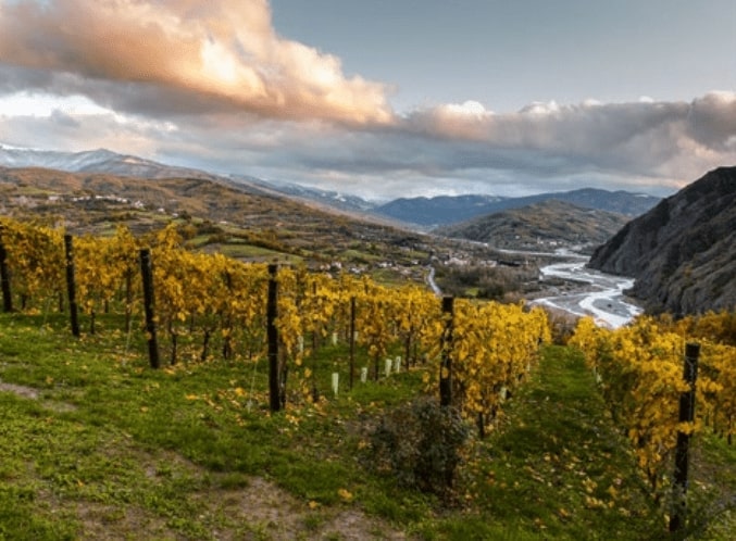 Colli Tortonesi